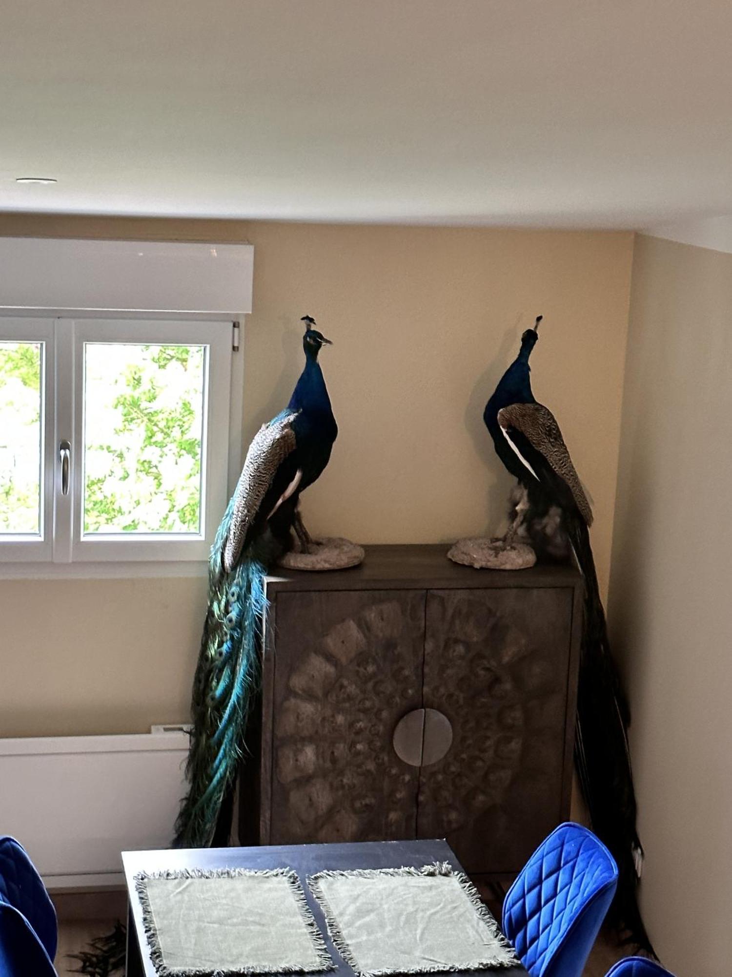 L'Opale - Le Jungle Apartment Les Attaques Room photo